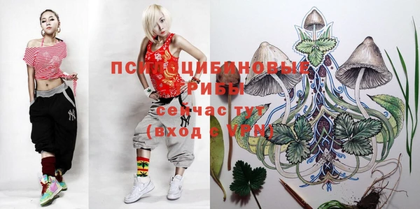 индика Нея