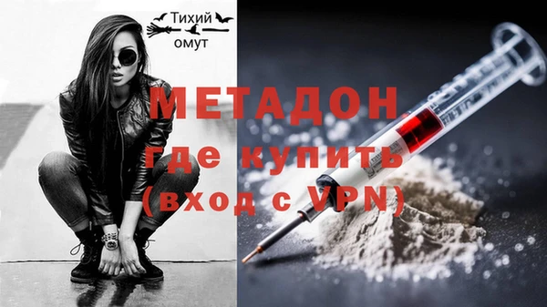 индика Нея