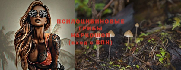 индика Нея