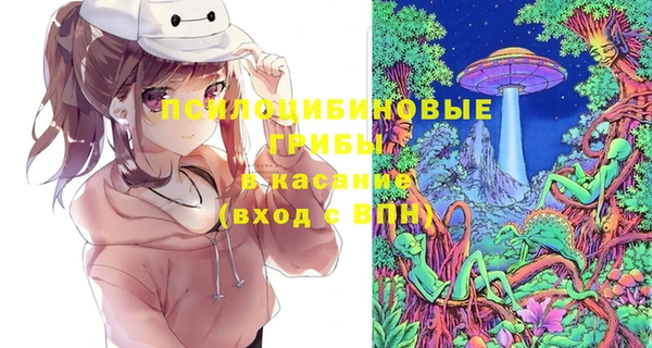 прущие крисы Новозыбков