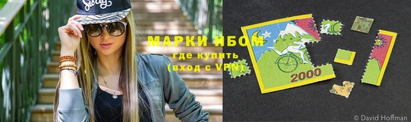 прущие крисы Новозыбков