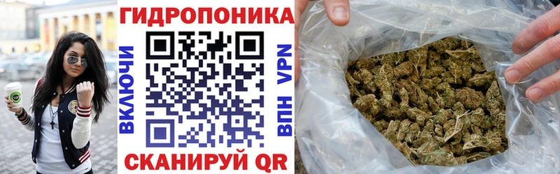 Каннабис план  где купить наркоту  Микунь 